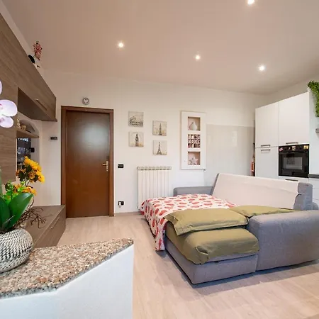 Sunflower - Modern On Maggiore Verbania